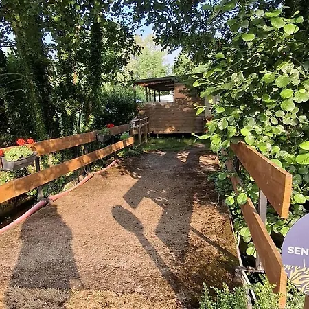 Toilé - Terrasse Pour 5 Personnes - Api-1-52-1585 * Long